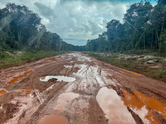 The road from Georgetown to Lethem