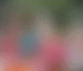 Local women during the Tainha festival