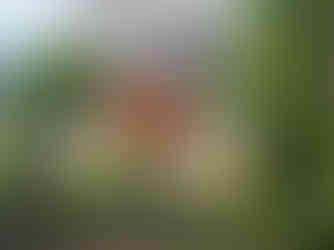 A welding job gone wrong