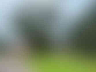 Our sport in Paramaribo