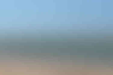 Patos, kiting with cow traffic