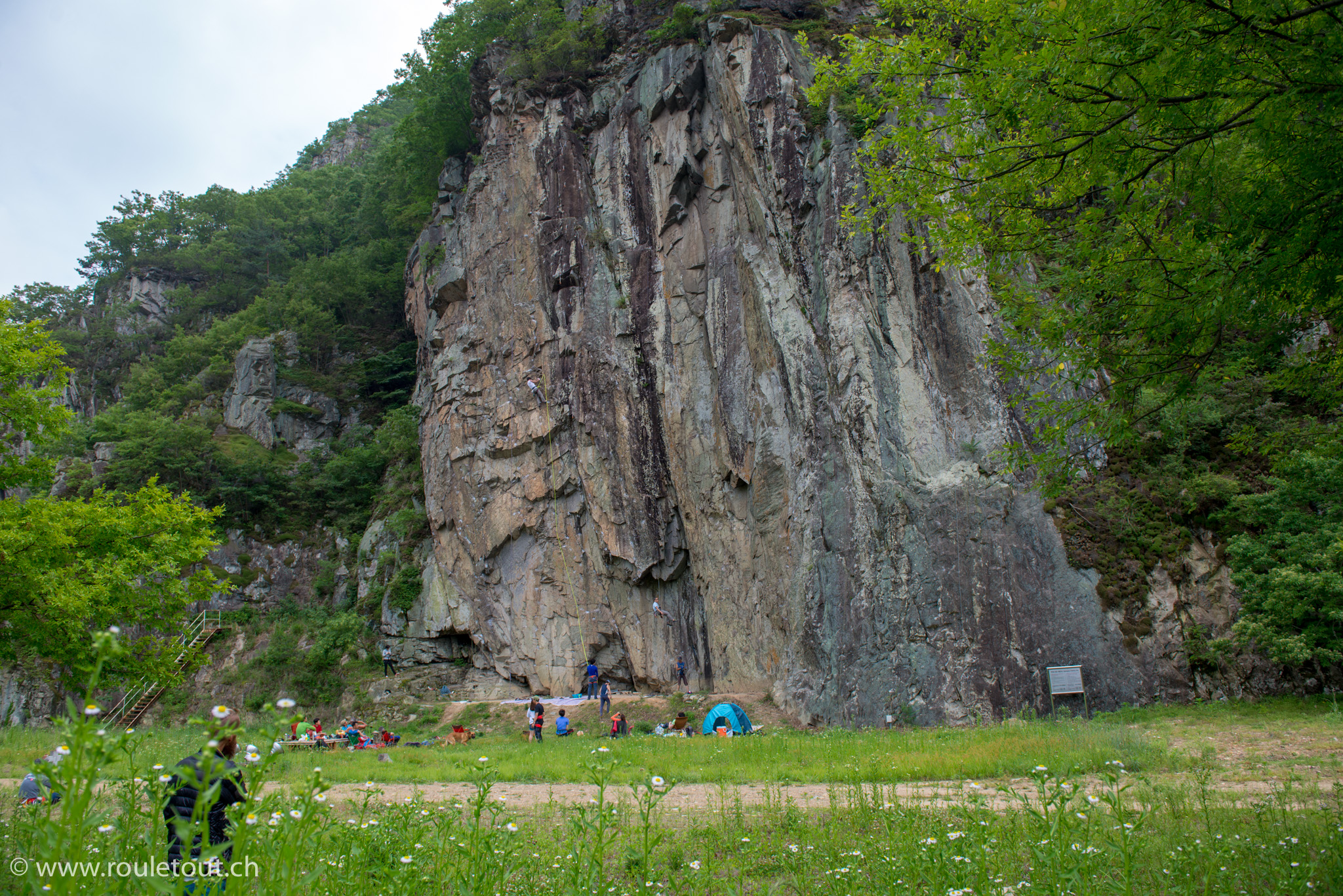 20160529-600_0936