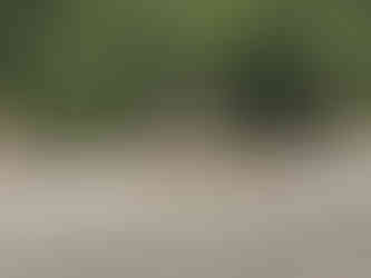 Relaxing on Ilha Campeche