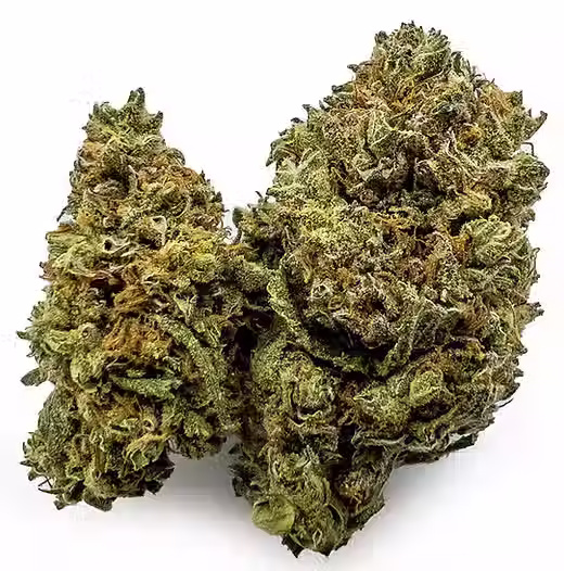 Gorilla Zkittlez