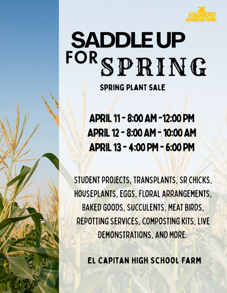 Screenshot 2026-02-06 at 11.44.01 AM.png