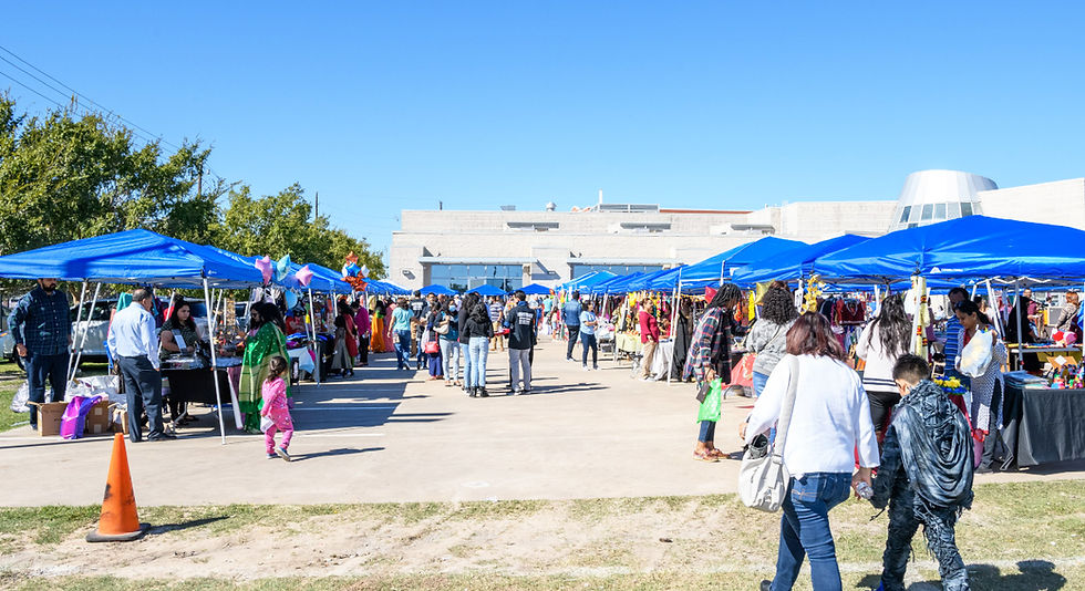 Discover the Best Indian Events in Houston That Bring the Community Together