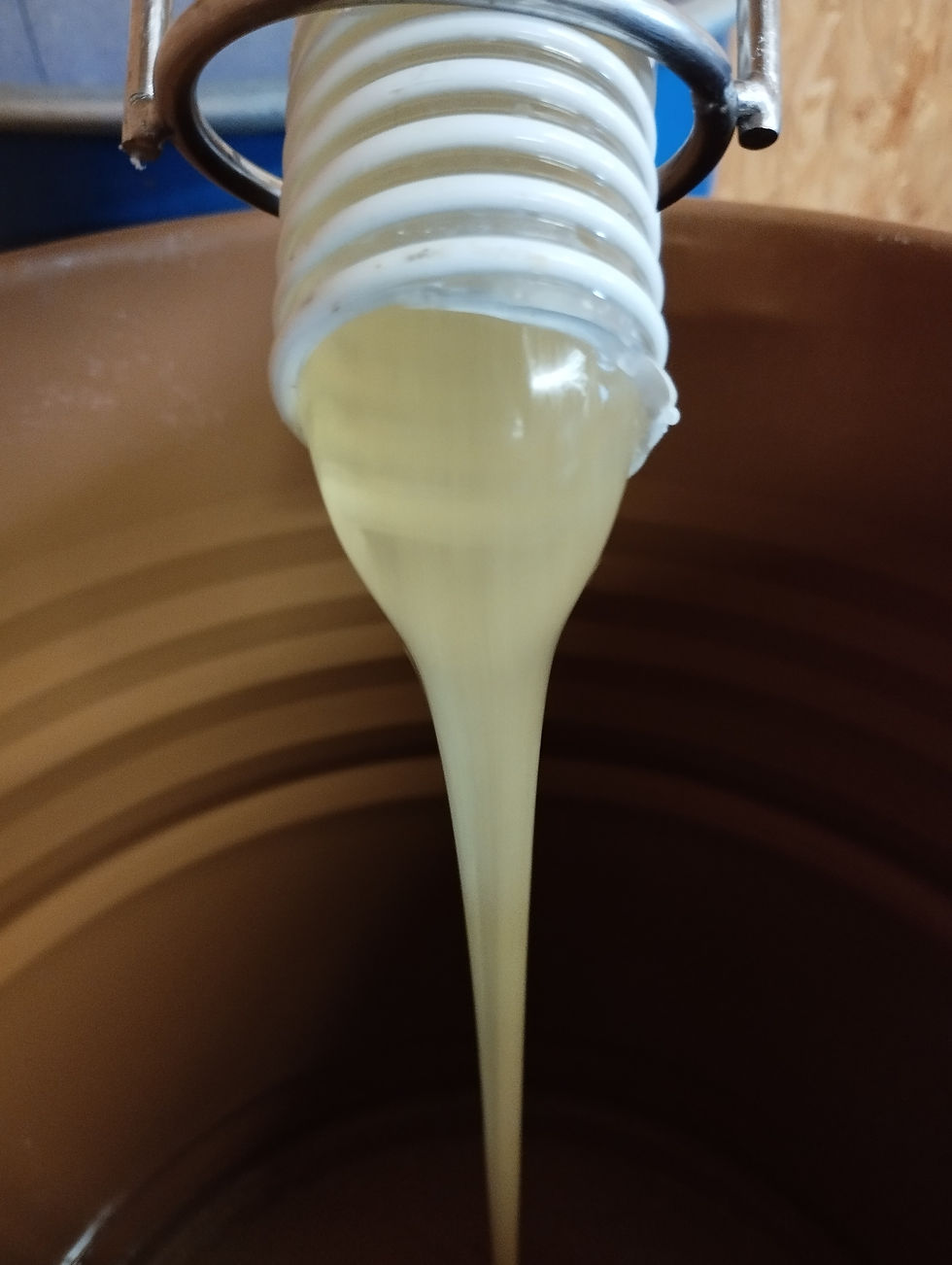 En attendant d'être mis en pot, le miel est stocké dans des fûts.