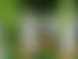 Sedekah Makanan Sekolah Tahfiz ATIQ masa PKPB Oktober 2020