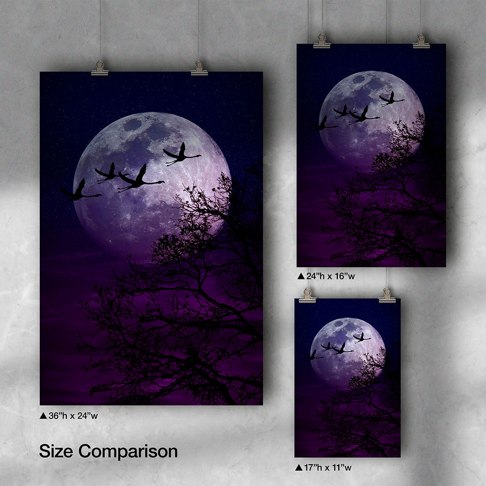 Thumbnail: Flamingo Moon Poster
