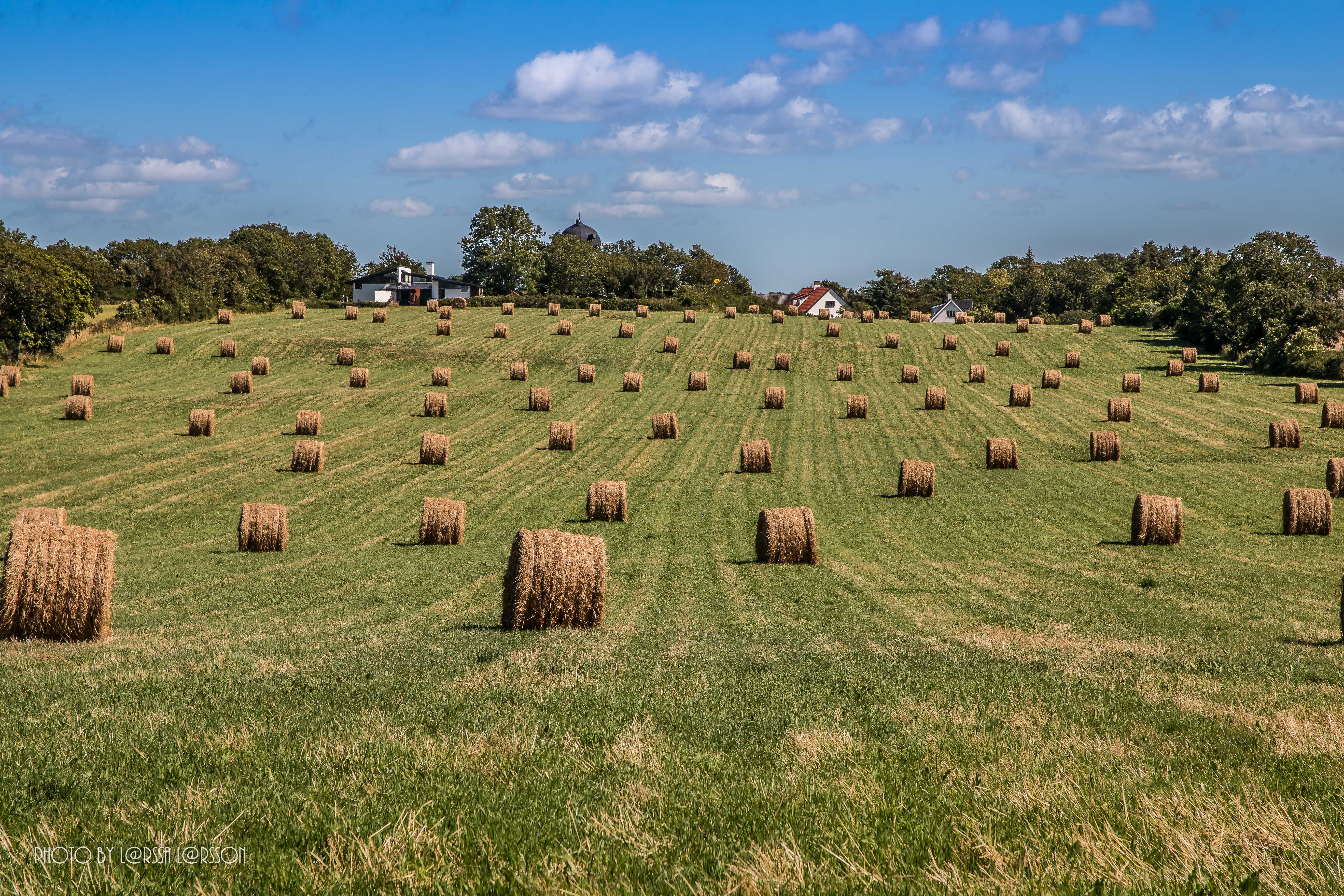 Hay bales