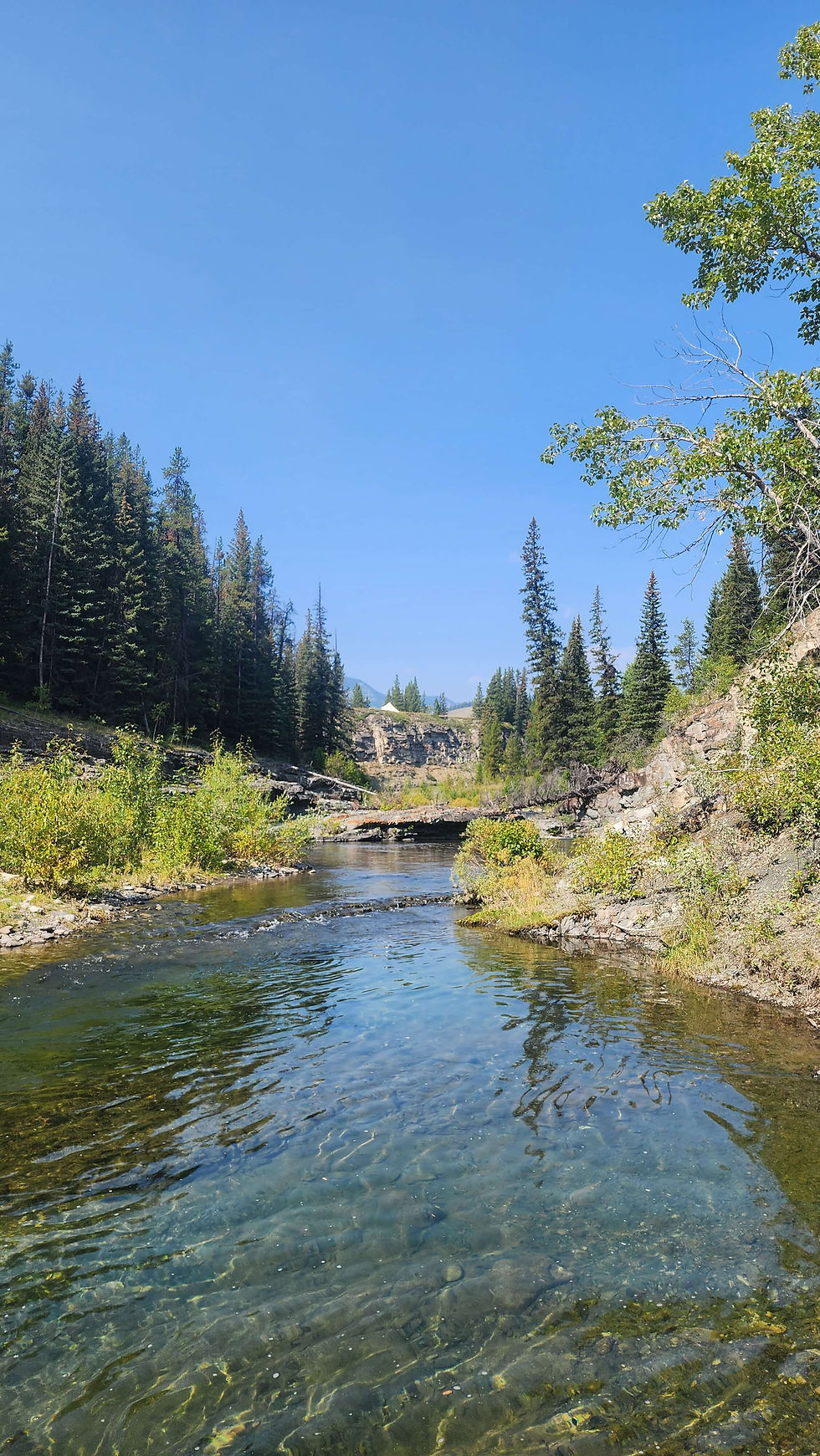crown land camping view of the river