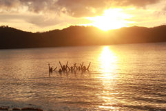 Guests posing for a picture in the ocean in front of sunset at DRYFT Camp