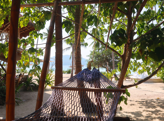 Views from a hammock with the views of trees