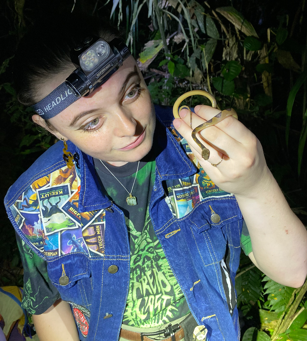Leptidira approximous - Madre De Dios, Peruvian Amazon
