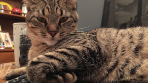 A Little not over you yet...