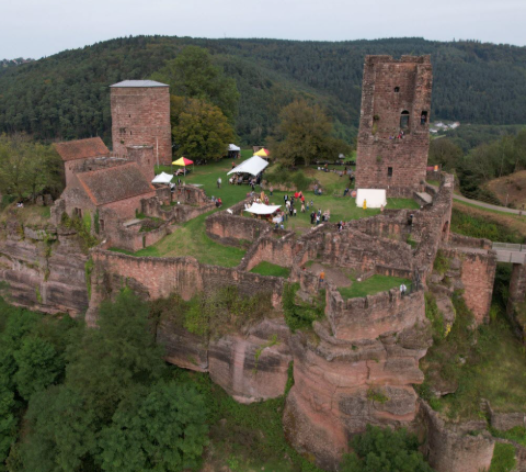 Château de Lutzelbourg