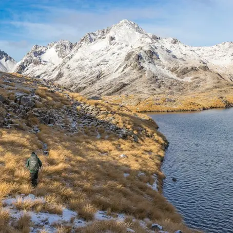 Unleash Your Inner Daredevil