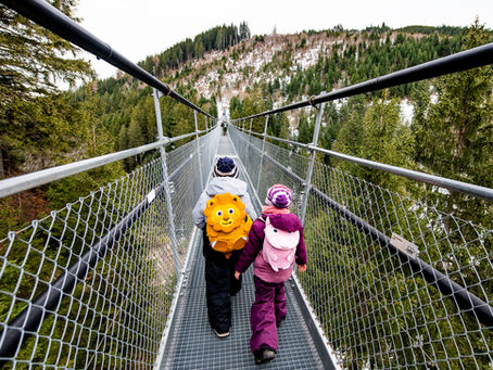 Kids crossing the suspension bridge at Sattle Hochstuckli