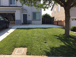 frontlawn4