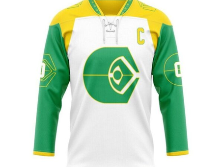 ST Ferengi Alliance Hockey Team Custominzed Hockey Jersey, Trending Gifts For Fans – Vesles2014s
