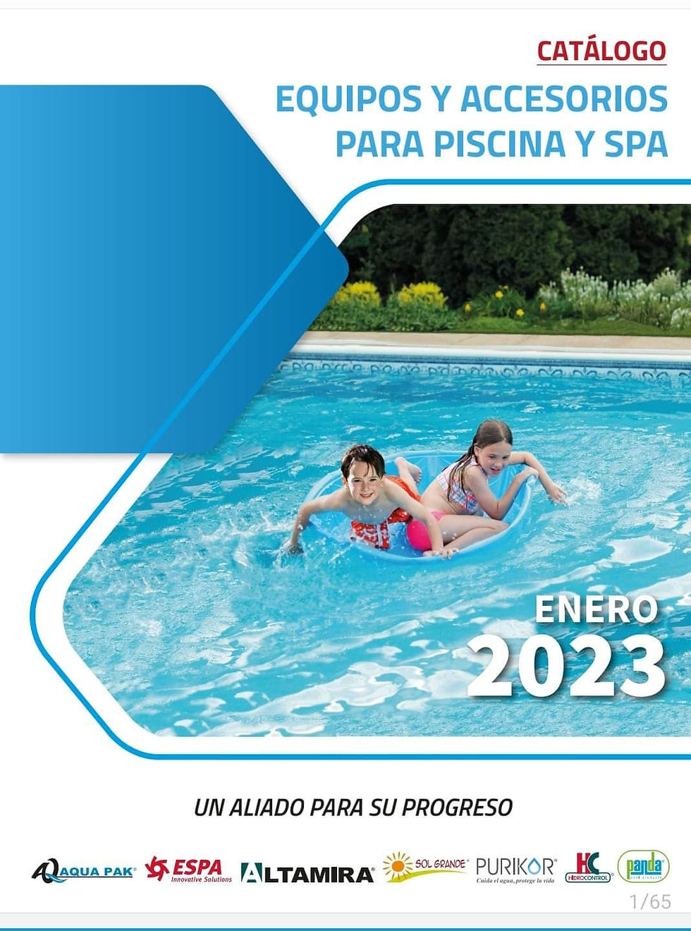 Miniatura: las mejores marcas en bombas-equipos-industriales-accesorios para piscinas 