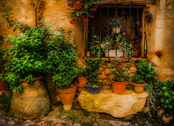 Provence Courtyard