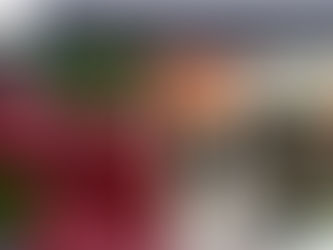 Celebrating Earth Day: Exploring the Future of Sustainable Leather