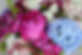 Untitled design (7).png
