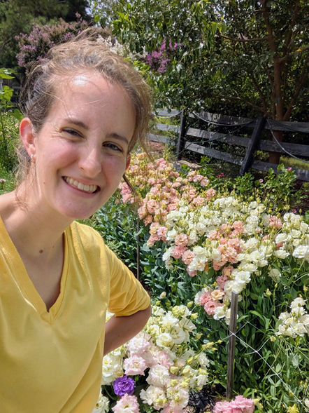 Pink, white, purple, and apricot lisianthus flowers on a farm