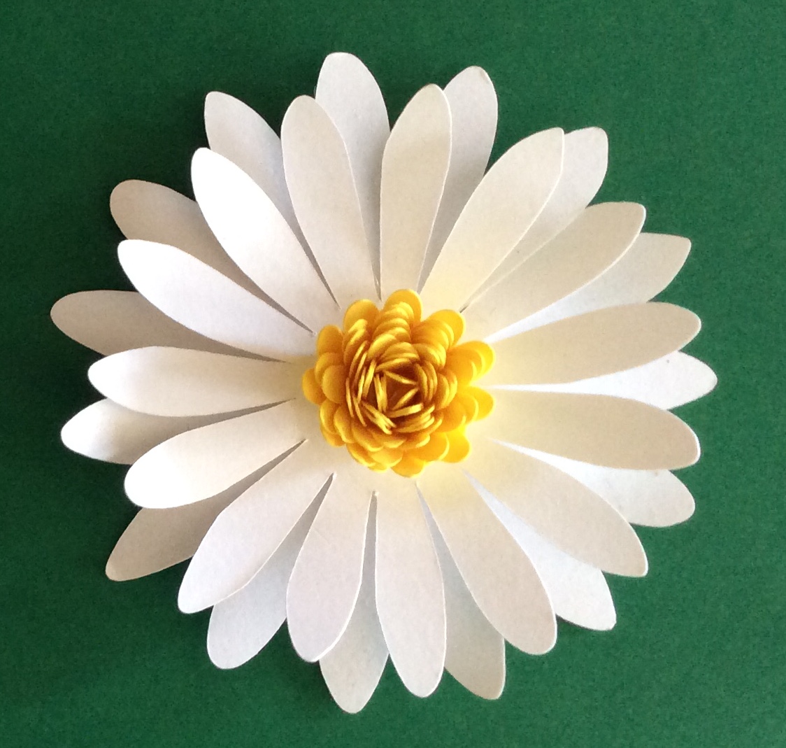 Margarida