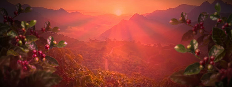 BER - BANNER WEBSITE - ATARDECER ROJO JULIO 2022 - 1920x1080 PX_edited_edited_edited_edite