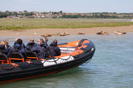 Harbour Seals with Dover Sea Safari