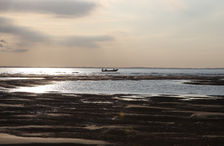 Goodwin Sands with Dover Sea Safari
