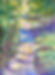 Ethereal Forest Walk.jpeg