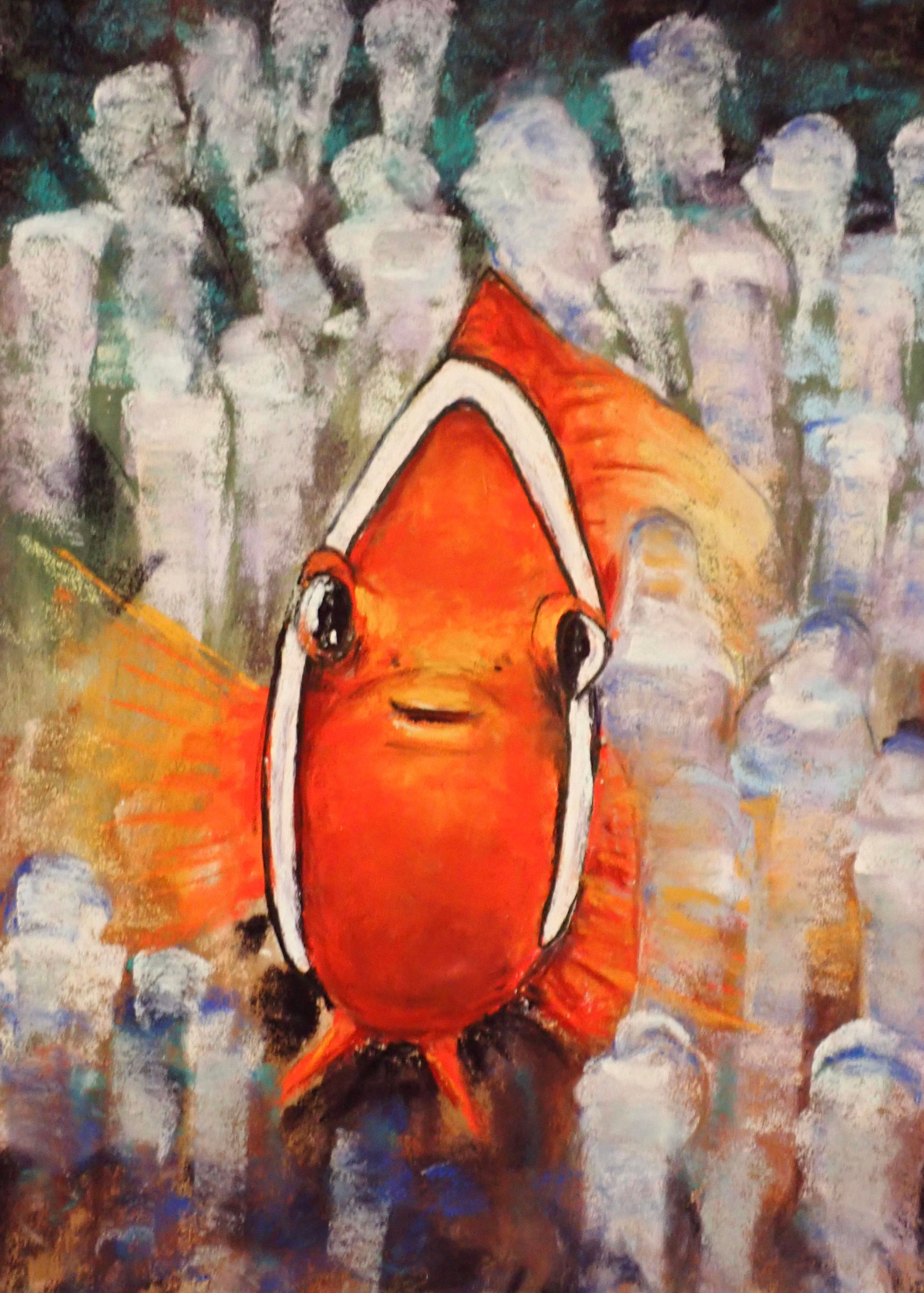 Clownfish, ocean life