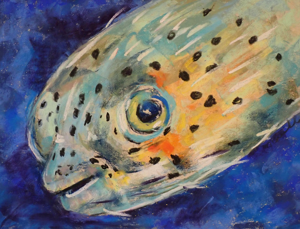 Pufferfish, sea life, ocean life