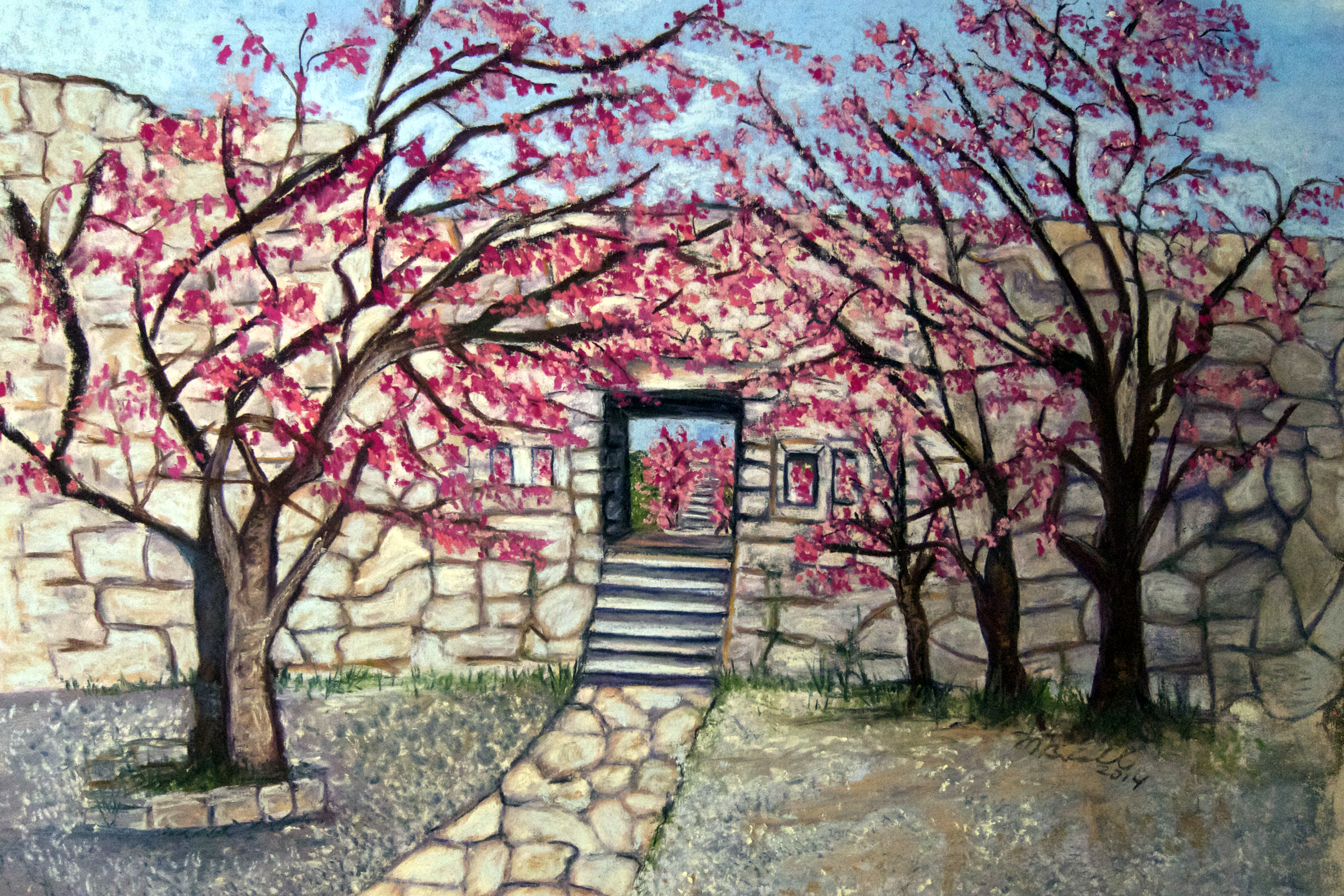 Nakijin-jo Cherry Blossoms
