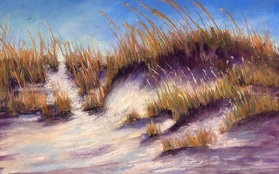 sand dune, pastel, sea oats, beach, beach landscape, beach lovers, coastal beauty