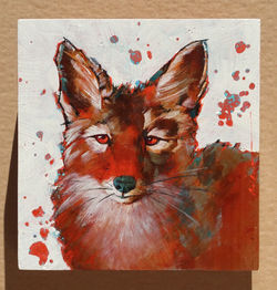 Fox Wood