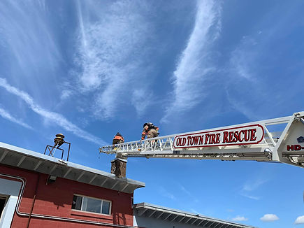 Ladder training