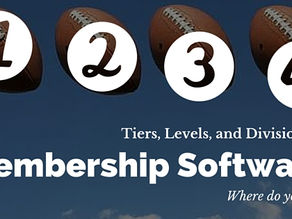 Warning: You Might Be Paying Too Much for the Wrong AMS Tier