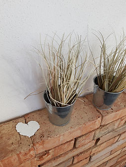 20190313_084817[1].jpg