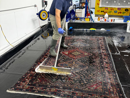 Protect Your Rugs: Essential Guide to Pet Urine Removal and Odor Elimination