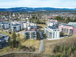 Råholtåsen – field 4