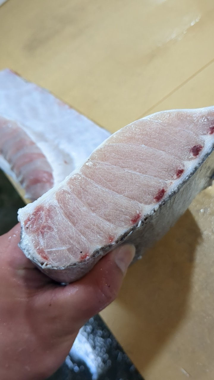 LINE_ALBUM_webサイト素材_240826_37.jpg