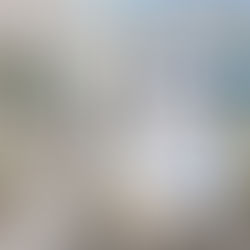 Türkiye Emlak Haberleri 2026