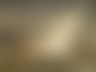 UNCOVERING THE TRUTH