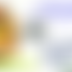 PUTTING LIFE IN ORDER