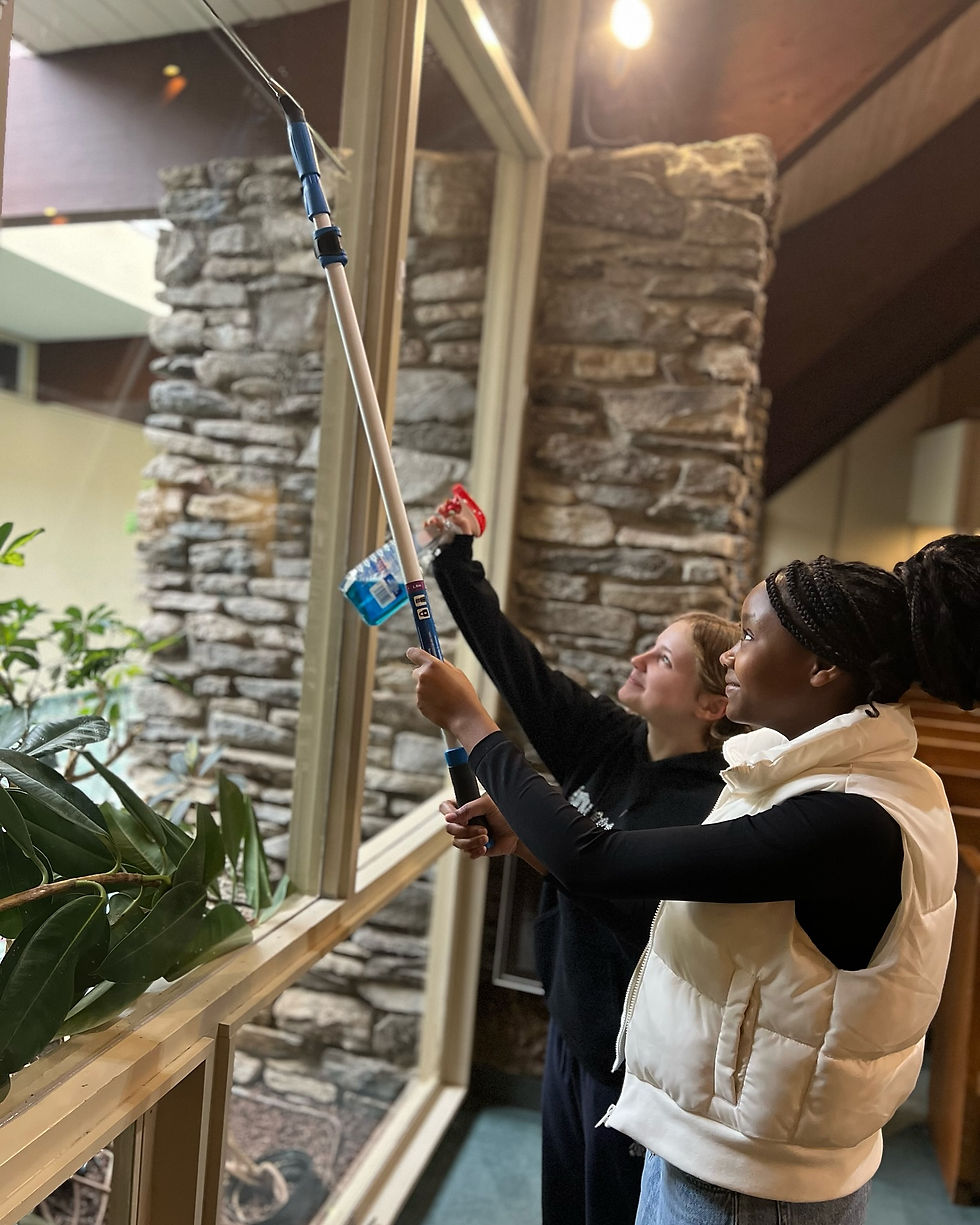 Cleaning Windows