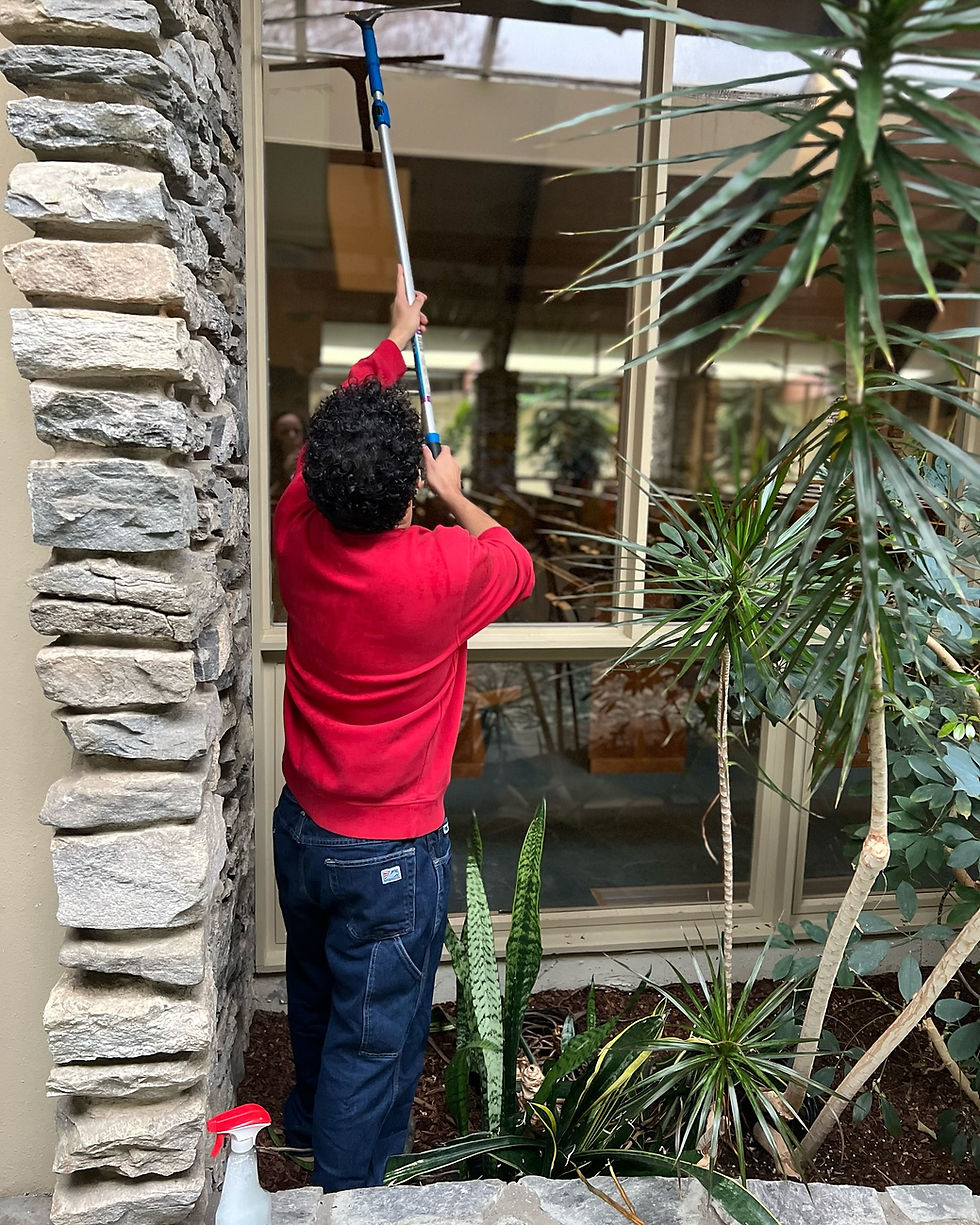 Cleaning Windows
